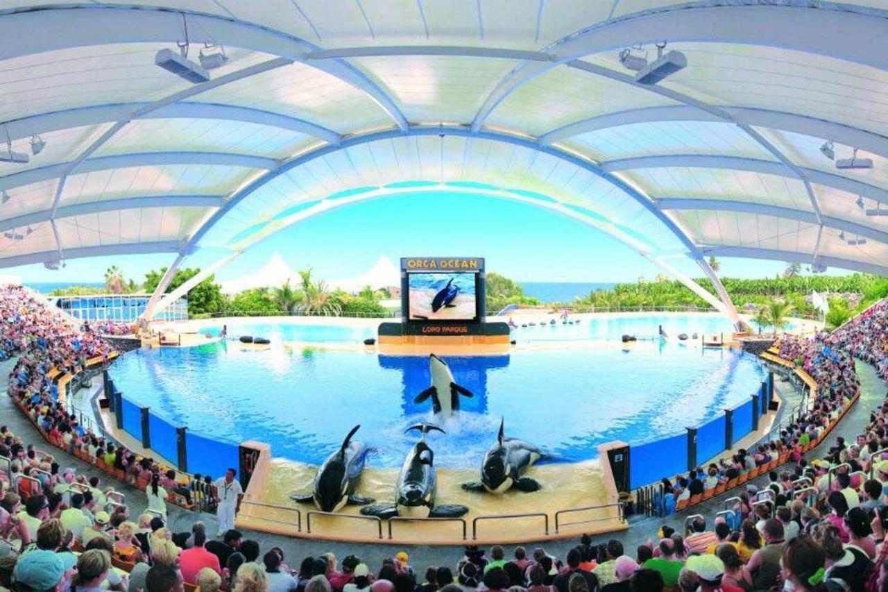 פוארטו דה לה קרוז Vivienda Vacacional Con Vistas Al Teide Y Piscina מראה חיצוני תמונה